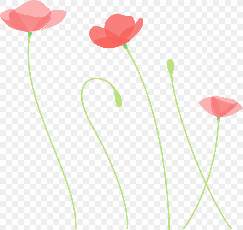 Poppy Flower, PNG, 3000x2843px, Poppy Flower, Coquelicot, Corn Poppy, Flower, Pedicel Download Free