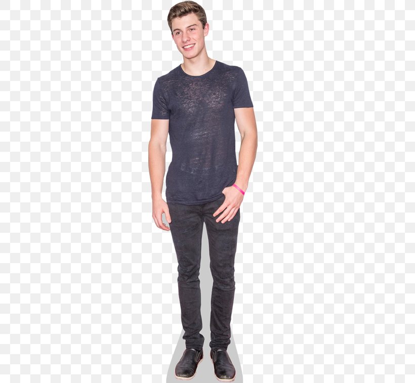 Shawn Mendes Celebrity Standee Amazon.com Cardboard, PNG, 363x757px, Watercolor, Cartoon, Flower, Frame, Heart Download Free