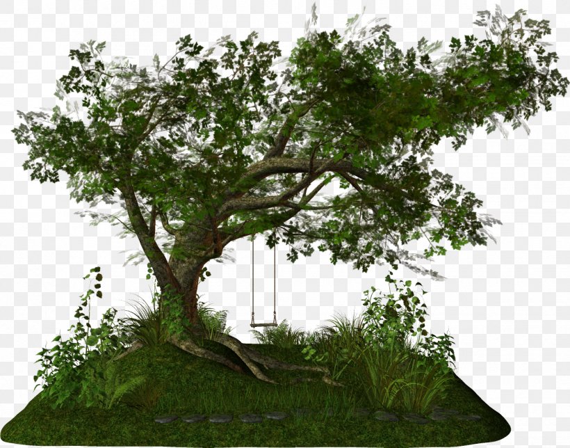 Tree Clip Art, PNG, 1338x1051px, Tree, Bonsai, Branch, Drawing, Garden Download Free
