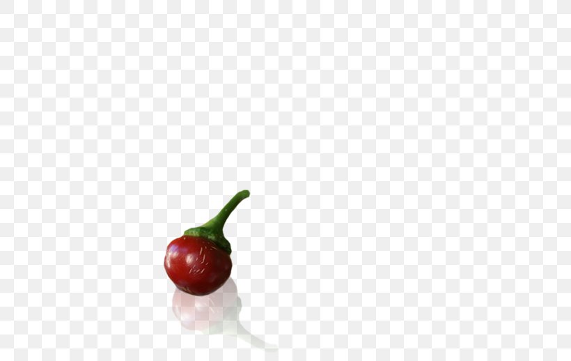 Chili Pepper Food Pimiento Peperoncino Bell Pepper, PNG, 700x518px, Chili Pepper, Bell Pepper, Bell Peppers And Chili Peppers, Capsicum, Cherry Download Free