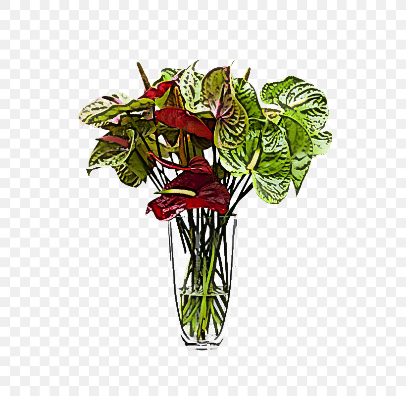 Flower Plant Anthurium Flowerpot Cut Flowers, PNG, 643x800px, Flower, Anthurium, Arum Family, Cut Flowers, Flowerpot Download Free
