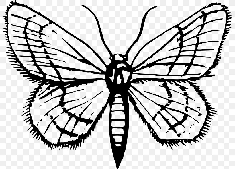 Monarch Butterfly Moth Clip Art, PNG, 800x589px, Monarch Butterfly, Arthropod, Artwork, Black And White, Brush Footed Butterfly Download Free