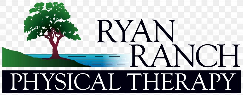 Ryan Ranch Physical Therapy Camino El Estero Ryan Ranch Road, PNG, 3600x1417px, Physical Therapy, Brand, California, Grass, Green Download Free