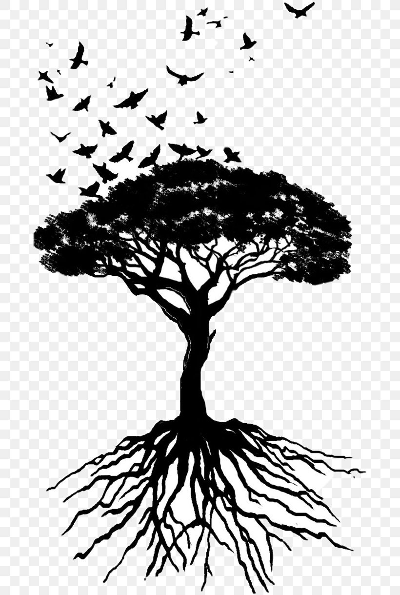 Tree Of Life, PNG, 685x1219px, Drawing, Artist, Bird, Blackandwhite, Branch Download Free