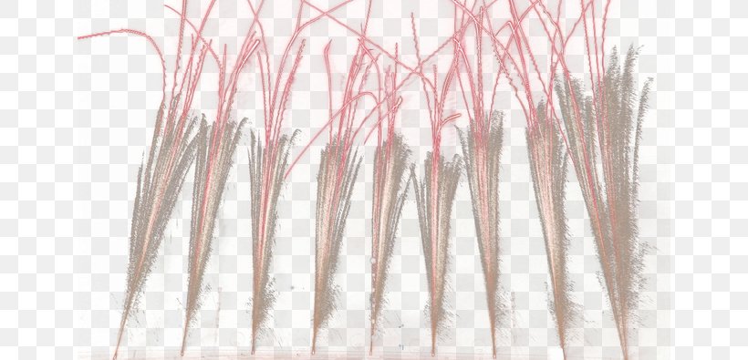 Wood Angle, PNG, 650x395px, Wood, Branch, Pink, Structure, Tree Download Free