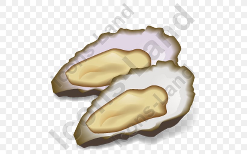 Clam Mussel Seafood Oyster Pectinidae, PNG, 512x512px, Clam, Animal Source Foods, Clams Oysters Mussels And Scallops, Food, Mussel Download Free