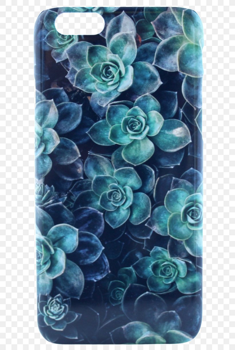 Succulent Plant Desktop Wallpaper Echeveria Mobile Phones, PNG, 700x1220px, Succulent Plant, Agave, Aqua, Blue, Cactaceae Download Free