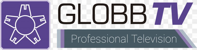 Globb Televisión, S.L. Television Information Technology La 1, PNG, 7502x1922px, Television, Banner, Brand, Data, Expert Download Free