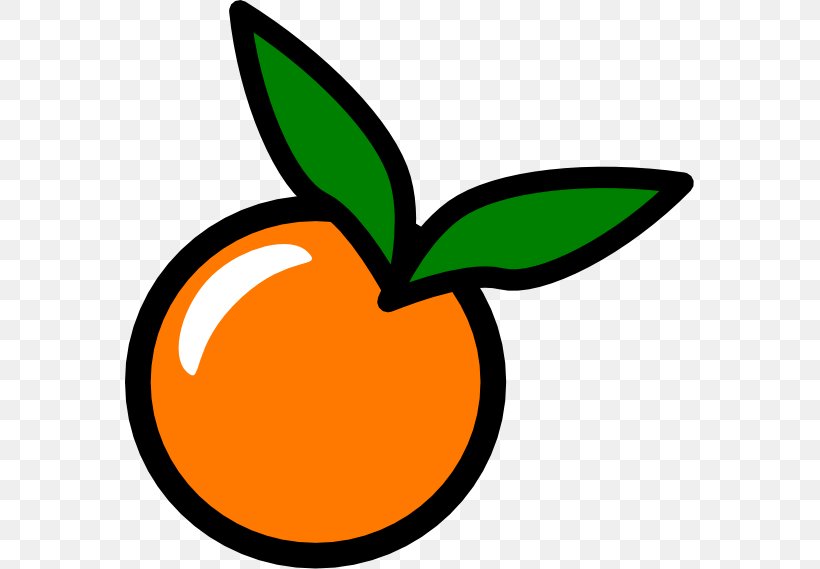 Juice Orange Icon, PNG, 569x569px, Juice, Apple, Artwork, Citrus, Flower Download Free