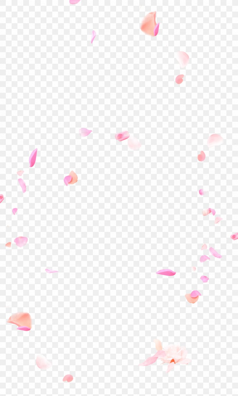 Petal Pink Flower, PNG, 1772x2953px, Petal, Flower, Header, Heart, Peach Download Free