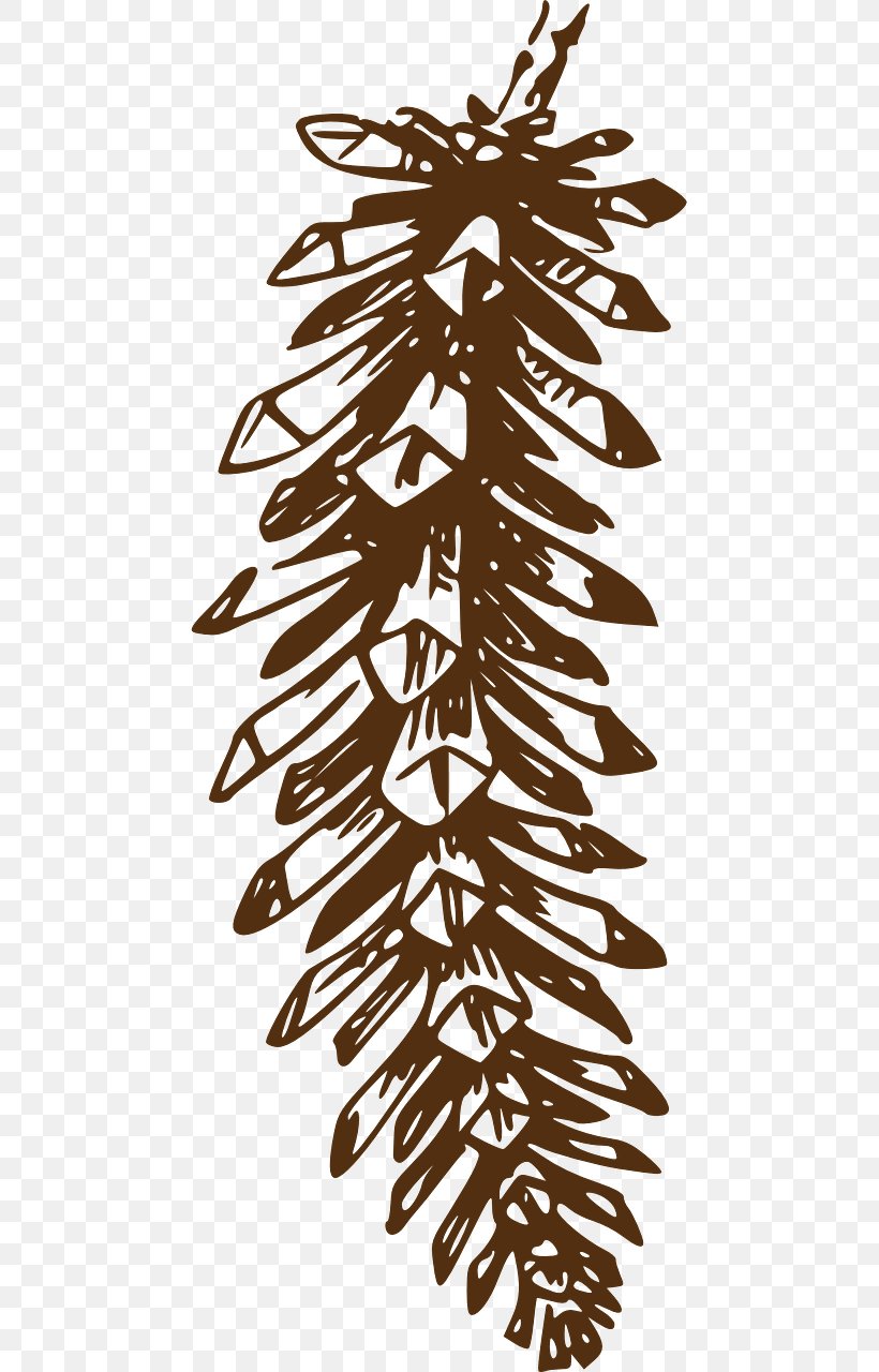 Pine Clip Art Conifer Cone Vector Graphics Openclipart, PNG, 640x1280px, Pine, Black And White, Branch, Conifer Cone, Conifers Download Free