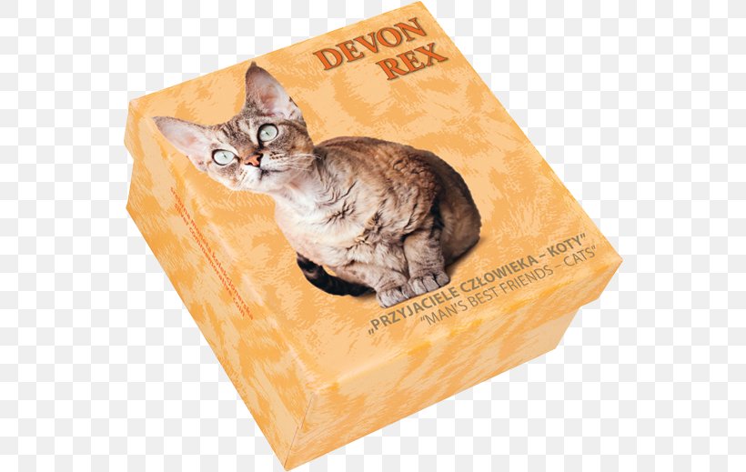 Tabby Cat Kitten Whiskers Tail, PNG, 550x519px, Tabby Cat, Box, Carnivoran, Cat, Cat Like Mammal Download Free