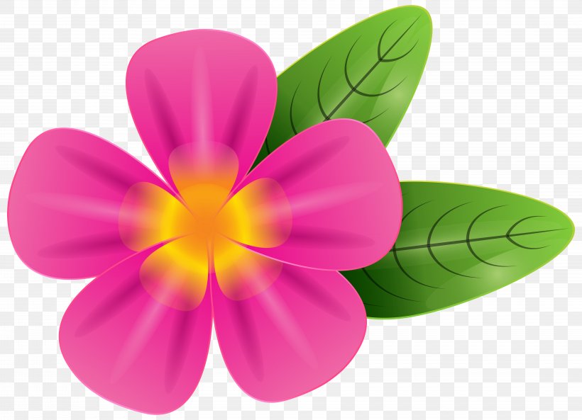 Plumeria Alba Free Clip Art, PNG, 8000x5788px, Plumeria Alba, Flower, Flowering Plant, Frangipani, Free Download Free