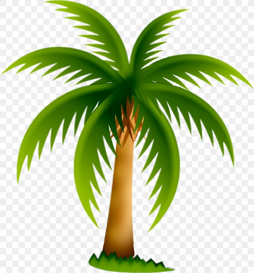 Arecaceae Date Palm Tree Clip Art, PNG, 825x886px, Arecaceae, Arecales, Attalea, Attalea Speciosa, Borassus Flabellifer Download Free