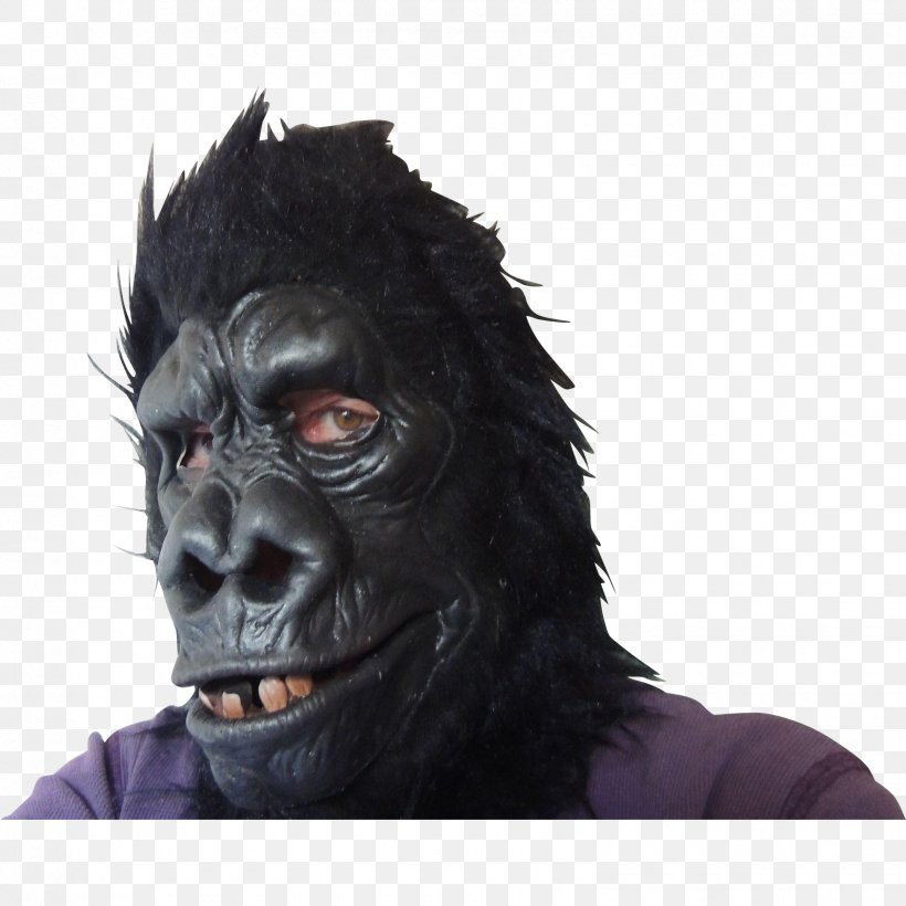 Gorilla Primate Headgear Mask Animal, PNG, 1595x1595px, Gorilla, Animal, Ape, Great Ape, Great Apes Download Free