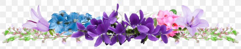 Lavender Purple Violet Lilac Desktop Wallpaper, PNG, 1216x252px, Lavender, Close Up, Flower, Grace Burrowes, Grass Download Free