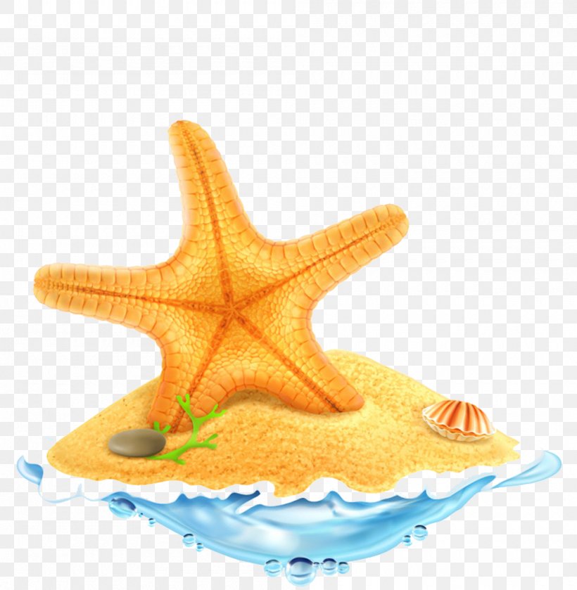 Starfish Royalty-free Clip Art, PNG, 1000x1024px, Starfish, Drawing, Echinoderm, Fish, Invertebrate Download Free