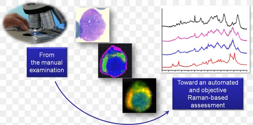 Surface-enhanced Raman Spectroscopy Cancer Cell, PNG, 1495x743px, Raman Spectroscopy, Analytical Chemistry, Area, C V Raman, Cancer Cell Download Free