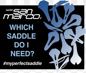 Cycling - Bicycle Saddles Selle San Marco Selle Italia Selle Royal Cycling PNG