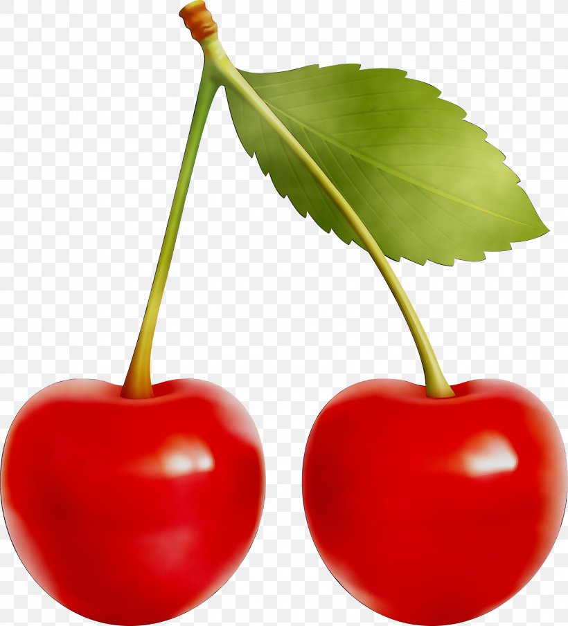 Cherry Pie Cherries Clip Art Sour Cherry, PNG, 3413x3767px, Cherry Pie, Accessory Fruit, Acerola, Acerola Family, Berries Download Free