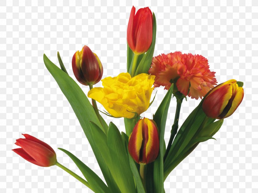Flower Bouquet Tulip, PNG, 1600x1200px, Flower Bouquet, Artificial Flower, Blue Rose, Bud, Cut Flowers Download Free