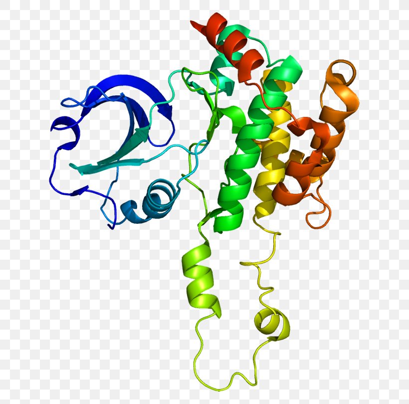 Gene SLK Protein Kinase Threonine, PNG, 673x809px, Gene, Animal Figure, Area, Artwork, Body Jewelry Download Free