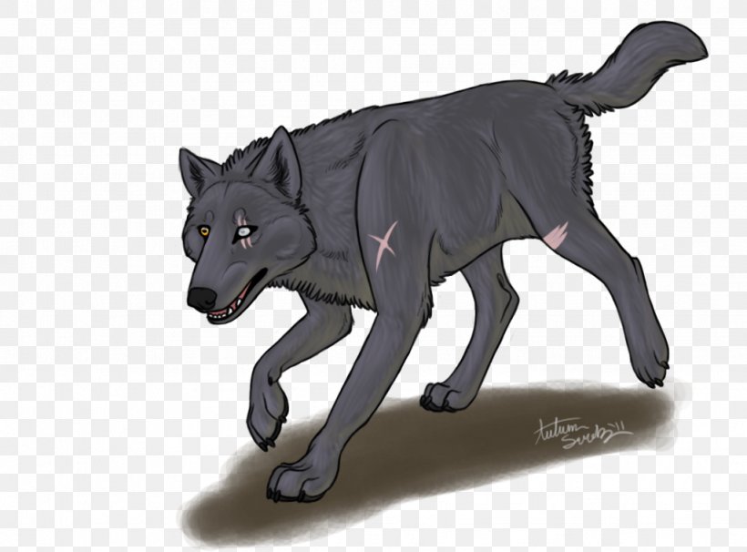 Gray Wolf Fauna Fur Snout Wildlife, PNG, 1024x758px, Gray Wolf, Animal Figure, Carnivoran, Dog Like Mammal, Fauna Download Free