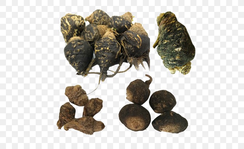 Kuangshanzhen Dietary Supplement Maca Price Plant, PNG, 500x500px, Dietary Supplement, Crude Drug, Cubeb, Health, Huize County Download Free