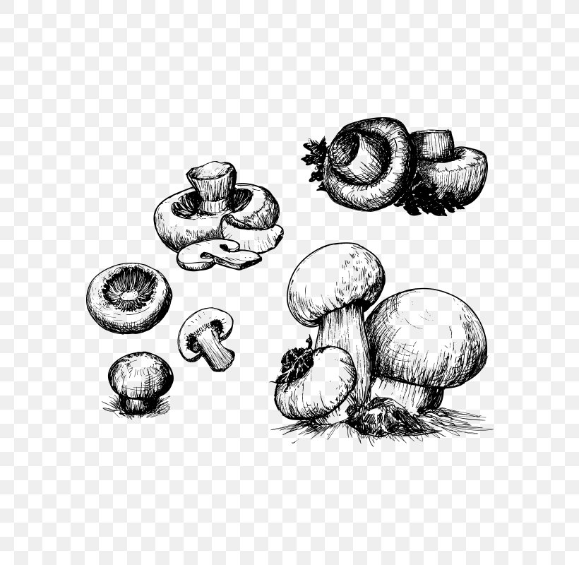 Mushroom Drawing Illustration, PNG, 800x800px, Mushroom, Art, Black And White, Body Jewelry, Cartoon Download Free