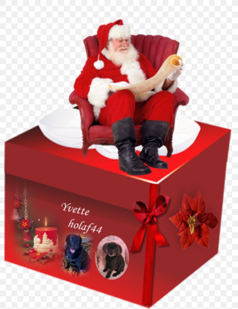 Santa Claus Ded Moroz Mrs. Claus Gift Christmas Ornament, PNG, 800x1064px, Santa Claus, Christmas, Christmas Lights, Christmas Ornament, Christmas Tree Download Free