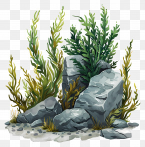 Seaweed - Underwater Landscape Of Rocks And Seaweed Illustration PNG
