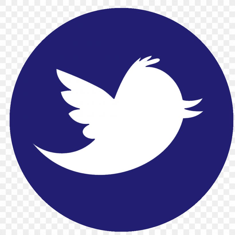 Social Media User, PNG, 1000x1000px, Social Media, Beak, Bird, Blog, Crescent Download Free
