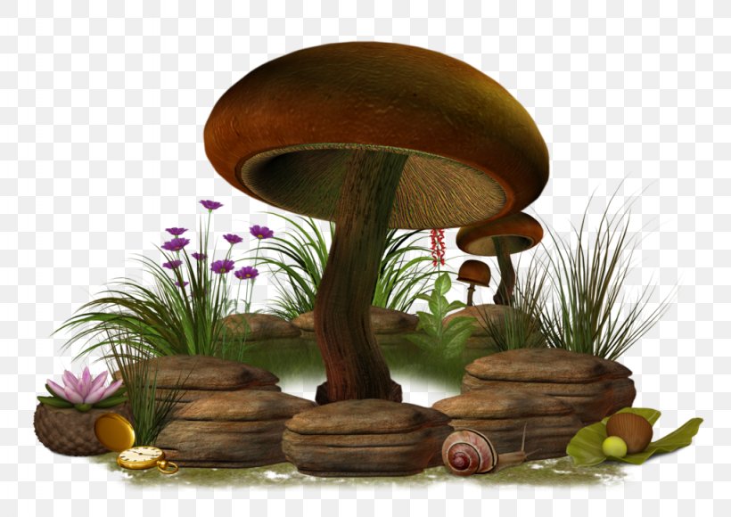Plant Flowerpot, PNG, 1024x725px, Mushroom, Common Mushroom, Deviantart, Dots Per Inch, Flowerpot Download Free