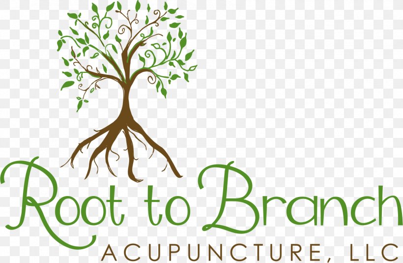 Logo Brand Plant Stem Font, PNG, 1695x1104px, Logo, Alternative Health Services, Branch, Brand, Dog Download Free