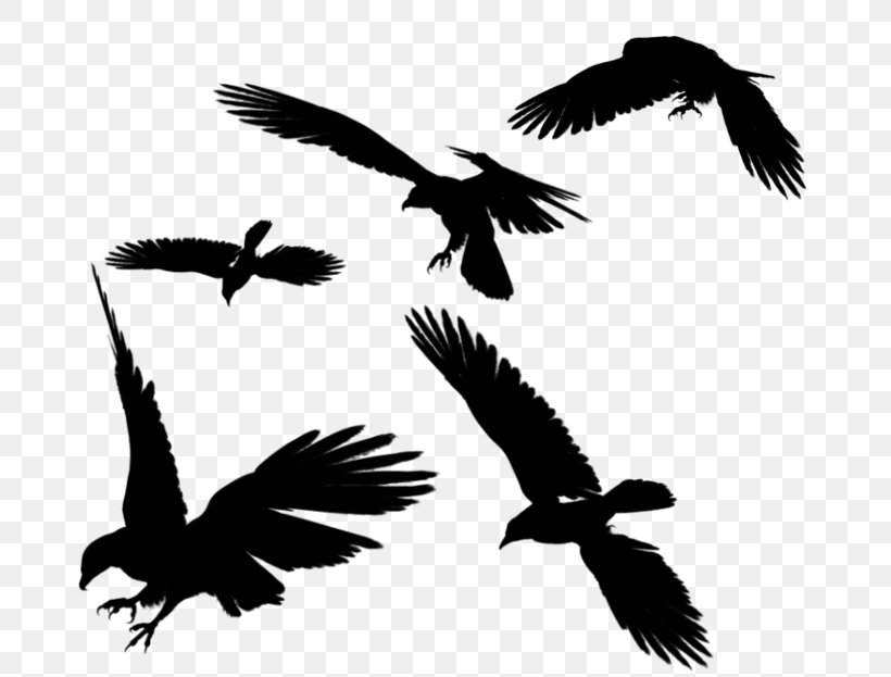 Clip Art Common Raven Image Flight, PNG, 700x623px, Common Raven, Beak, Bird, Bird Of Prey, Blackandwhite Download Free