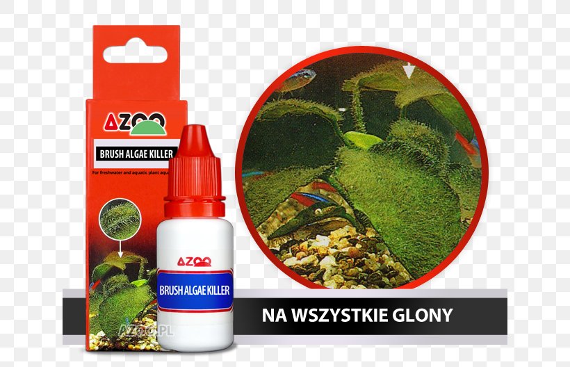 Algae 苔 Aquarium Algal Bloom Brush, PNG, 640x528px, Algae, Algal Bloom, Aquarium, Brush, Controlledrelease Fertiliser Download Free