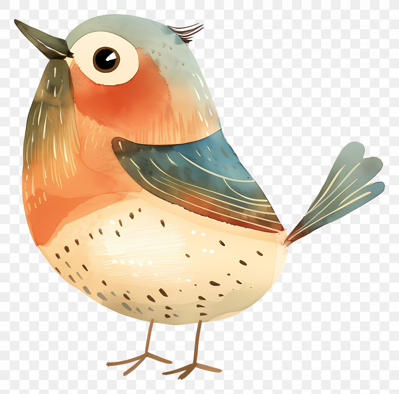 Cartoon Bird - Cute Robin Bird Illustration PNG