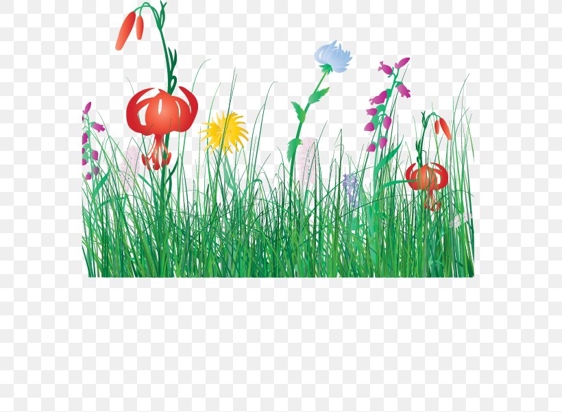 Flower Cartoon Clip Art, PNG, 663x601px, Flower, Cartoon, Commodity, Flowering Plant, Grass Download Free