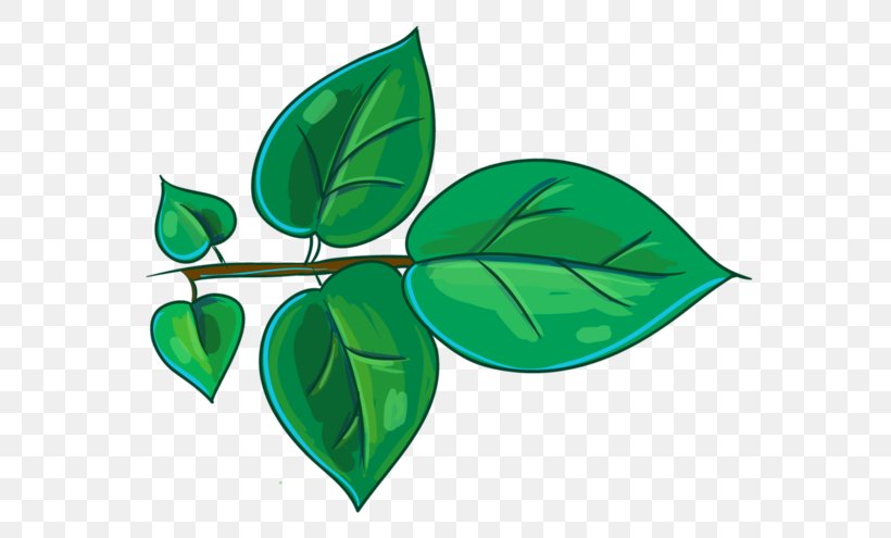 Leaf Plant Stem Branch Watercolor Painting Clip Art, PNG, 600x495px, 2018, Leaf, Branch, Copyright, Green Download Free