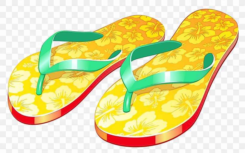 Slipper Flip-flops Sandal Shoe, PNG, 2751x1722px, Slipper, Flipflops, Footwear, Havaianas, Sandal Download Free
