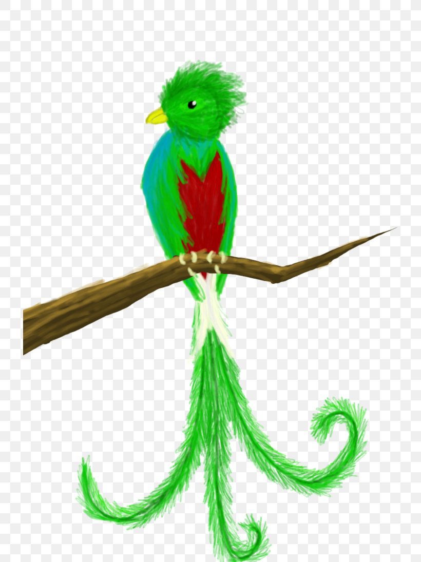 Guatemala Bird Quetzal Drawing Clip Art, PNG, 730x1095px, Guatemala