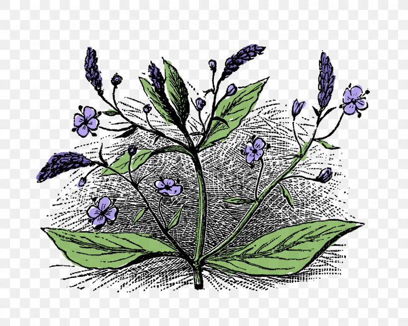 Wildflower Flora Art, PNG, 1600x1281px, Flower, Art, Black And White, Botanical Illustration, Branch Download Free