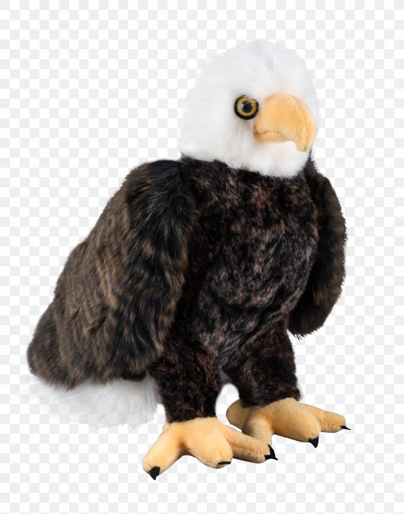 Bald Eagle Bird Of Prey Stuffed Animals & Cuddly Toys, PNG, 1571x1999px, Bald Eagle, Beak, Bird, Bird Of Prey, Child Download Free