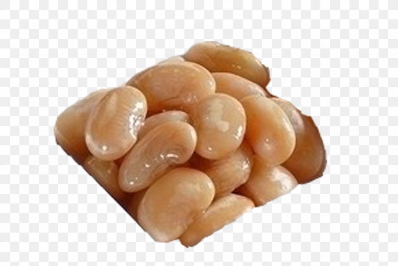 Salt Common Bean Kidney Bean, PNG, 1024x686px, Salt, Al Forno, Baking, Bean, Broad Bean Download Free