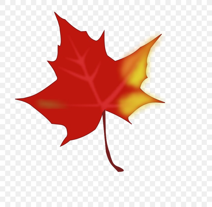 Autumn Leaf Color Red Maple Clip Art, PNG, 732x800px, Autumn Leaf Color, Autumn, Flower, Flowering Plant, Green Download Free