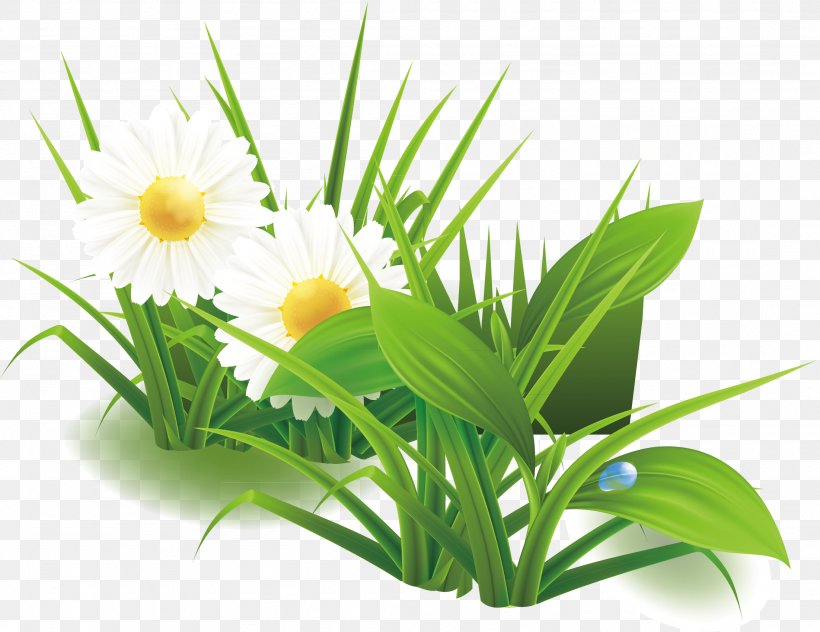 Green Lilium Flower, PNG, 2203x1700px, Green, Aquarium Decor, Flower, Flowering Plant, Grass Download Free
