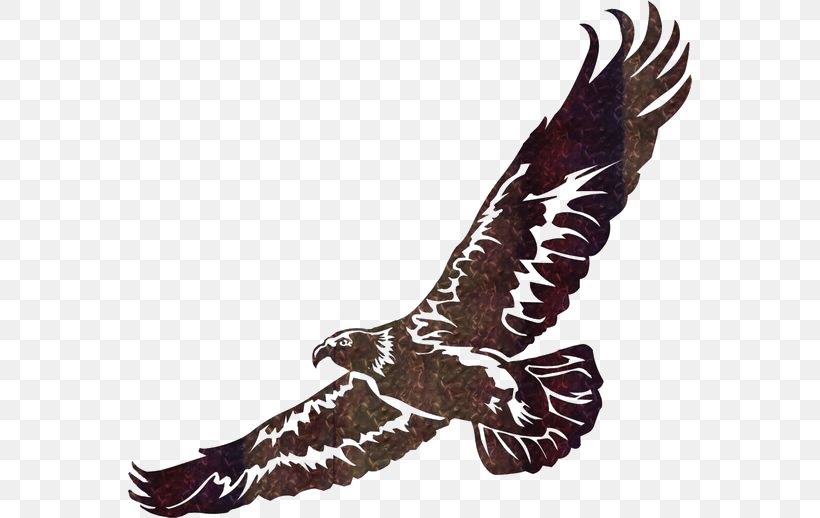 Wall Art Eagle Clip Art, PNG, 564x518px, Wall, Accipitriformes, Art, Beak, Bird Download Free