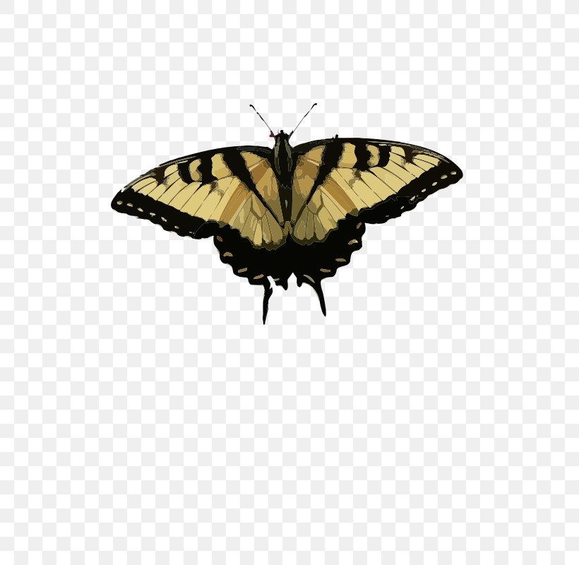 Butterfly Eastern Tiger Swallowtail Malabar Banded Peacock Clip Art, PNG, 566x800px, Butterfly, Arthropod, Brush Footed Butterfly, Eastern Tiger Swallowtail, Insect Download Free