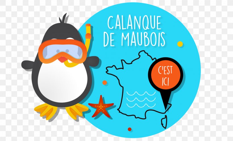 Calanque De Maupas Calanque De Maubois Agay Plage Le Trayas Plage De Saint-Aygulf, PNG, 1600x966px, Calanque, Beach, Beak, Bird, Brand Download Free