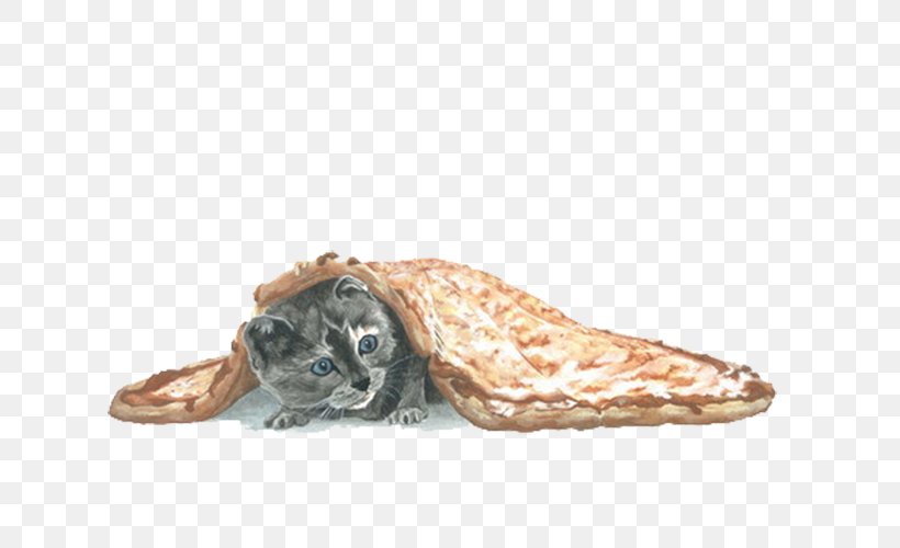 Cat Kitten Pizza Blanket, PNG, 702x500px, Cat, Blanket, Drawing, Footwear, Google Images Download Free